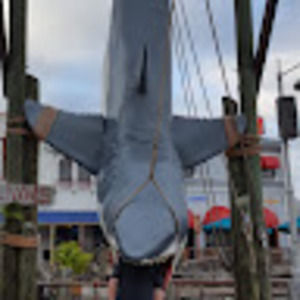 Meet your Posher, Mike